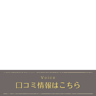 Voice