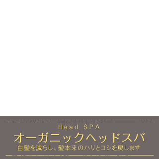 Head SPA