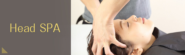 Head SPA