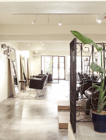 Salon Image
