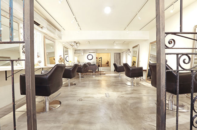 Salon Image