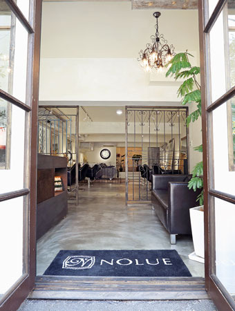 Salon Image