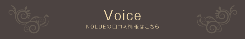 Voice